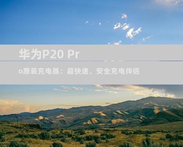 华为P20 Pro原装充电器：超快速、安全充电伴侣
